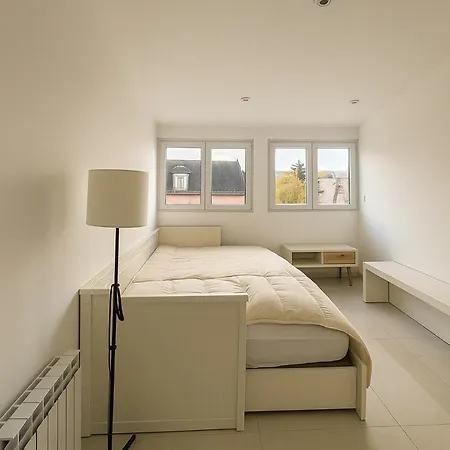 Deluxe Premium, Renovated, Centre ミュルーズ