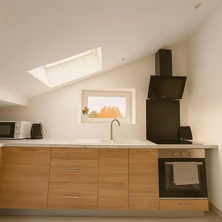 アパート Deluxe Premium, Renovated, Centre ミュルーズ